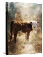 Calf in the Sunday Sun-Jai Johnson-Stretched Canvas