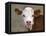 Calf Portrait-null-Framed Stretched Canvas