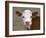 Calf Portrait-null-Framed Photographic Print