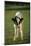 Calf Standing in Field-DLILLC-Mounted Photographic Print