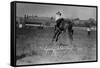 Calgary, Canada - Bucking Horse at the Stampede-Lantern Press-Framed Stretched Canvas