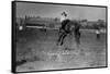 Calgary, Canada - Bucking Horse at the Stampede-Lantern Press-Framed Stretched Canvas