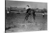 Calgary, Canada - Bucking Horse at the Stampede-Lantern Press-Stretched Canvas