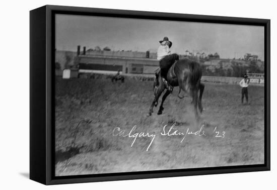 Calgary, Canada - Bucking Horse at the Stampede-Lantern Press-Framed Stretched Canvas