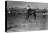 Calgary, Canada - Bucking Horse at the Stampede-Lantern Press-Stretched Canvas