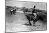 Calgary, Canada - Bullriding at the Stampede-Lantern Press-Mounted Art Print