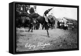 Calgary, Canada - Rodeo; Bucking Horse at the Stampede-Lantern Press-Framed Stretched Canvas