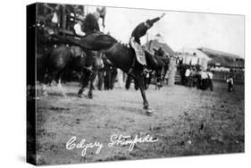 Calgary, Canada - Rodeo; Bucking Horse at the Stampede-Lantern Press-Stretched Canvas