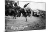 Calgary, Canada - Rodeo; Bucking Horse at the Stampede-Lantern Press-Mounted Art Print
