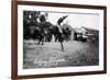 Calgary, Canada - Rodeo; Bucking Horse at the Stampede-Lantern Press-Framed Premium Giclee Print