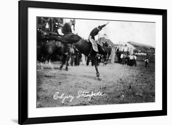 Calgary, Canada - Rodeo; Bucking Horse at the Stampede-Lantern Press-Framed Premium Giclee Print