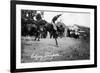 Calgary, Canada - Rodeo; Bucking Horse at the Stampede-Lantern Press-Framed Premium Giclee Print