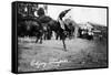 Calgary, Canada - Rodeo; Bucking Horse at the Stampede-Lantern Press-Framed Stretched Canvas