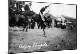 Calgary, Canada - Rodeo; Bucking Horse at the Stampede-Lantern Press-Mounted Art Print