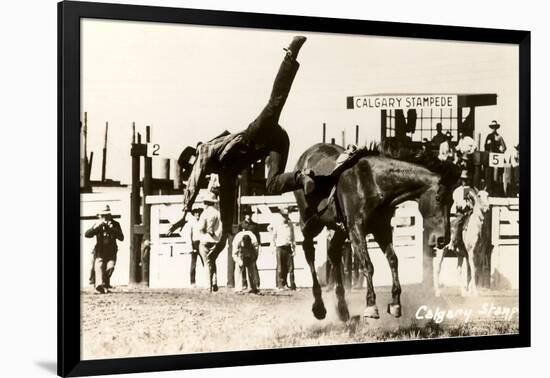 Calgary Stampede Rodeo-null-Framed Art Print