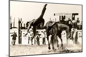 Calgary Stampede Rodeo-null-Mounted Art Print