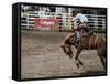 Calgary Stampede, Stampede Park, Calgary, Alberta, Canada-null-Framed Stretched Canvas