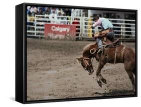 Calgary Stampede, Stampede Park, Calgary, Alberta, Canada-null-Framed Stretched Canvas