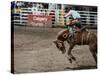 Calgary Stampede, Stampede Park, Calgary, Alberta, Canada-null-Stretched Canvas