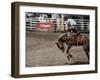 Calgary Stampede, Stampede Park, Calgary, Alberta, Canada-null-Framed Premium Photographic Print