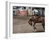 Calgary Stampede, Stampede Park, Calgary, Alberta, Canada-null-Framed Premium Photographic Print