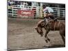 Calgary Stampede, Stampede Park, Calgary, Alberta, Canada-null-Mounted Premium Photographic Print