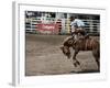 Calgary Stampede, Stampede Park, Calgary, Alberta, Canada-null-Framed Photographic Print