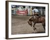 Calgary Stampede, Stampede Park, Calgary, Alberta, Canada-null-Framed Photographic Print