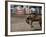 Calgary Stampede, Stampede Park, Calgary, Alberta, Canada-null-Framed Photographic Print