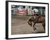 Calgary Stampede, Stampede Park, Calgary, Alberta, Canada-null-Framed Photographic Print