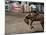 Calgary Stampede, Stampede Park, Calgary, Alberta, Canada-null-Mounted Photographic Print