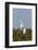 Calhoun County, Texas. Great Egret Displaying Plume Feathers-Larry Ditto-Framed Photographic Print