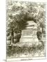 Wood Mount