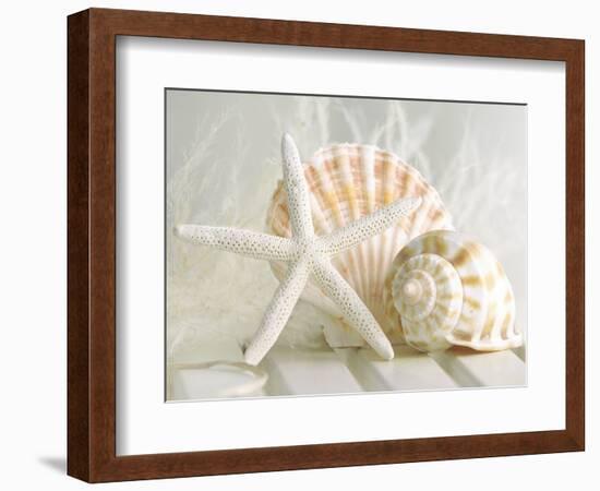 Cali Starfish I-null-Framed Art Print