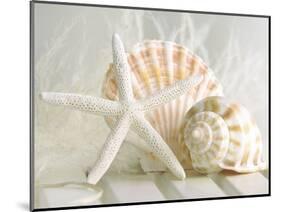 Cali Starfish I-null-Mounted Art Print