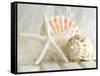 Cali Starfish I-null-Framed Stretched Canvas