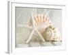 Cali Starfish I-null-Framed Art Print