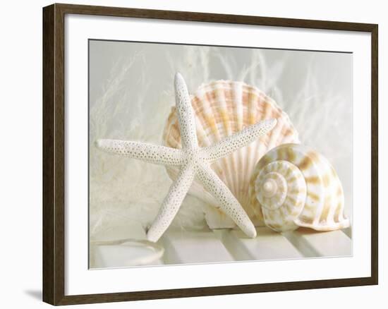 Cali Starfish I-null-Framed Art Print