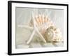 Cali Starfish I-null-Framed Art Print