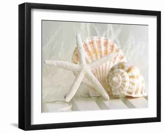 Cali Starfish I-null-Framed Art Print