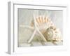 Cali Starfish I-null-Framed Art Print