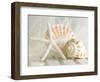 Cali Starfish I-null-Framed Premium Giclee Print