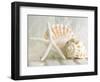 Cali Starfish I-null-Framed Premium Giclee Print