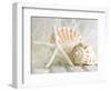 Cali Starfish I-null-Framed Premium Giclee Print