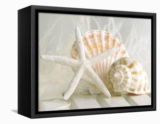 Cali Starfish I-null-Framed Stretched Canvas