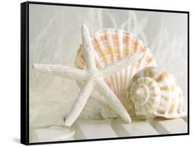 Cali Starfish I-null-Framed Stretched Canvas