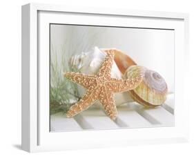 Cali Starfish II-null-Framed Art Print