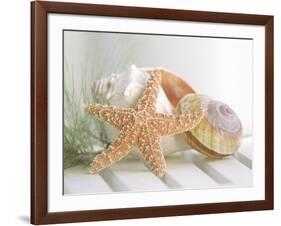 Cali Starfish II-null-Framed Premium Giclee Print