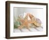 Cali Starfish II-null-Framed Art Print