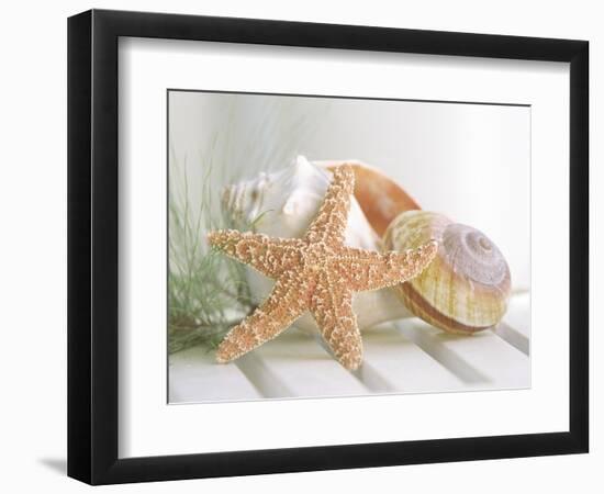 Cali Starfish II-null-Framed Art Print